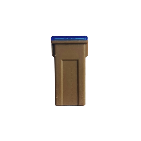 FUSIBLE PAL HEMBRA MEDIANO LARGO 70AMP (CAJAX25)