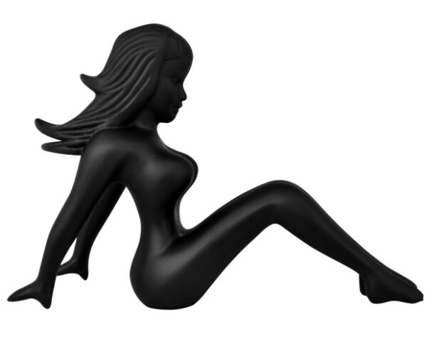 EMBLEMA CHICA NEGRO PARA CAPOT 1PC
