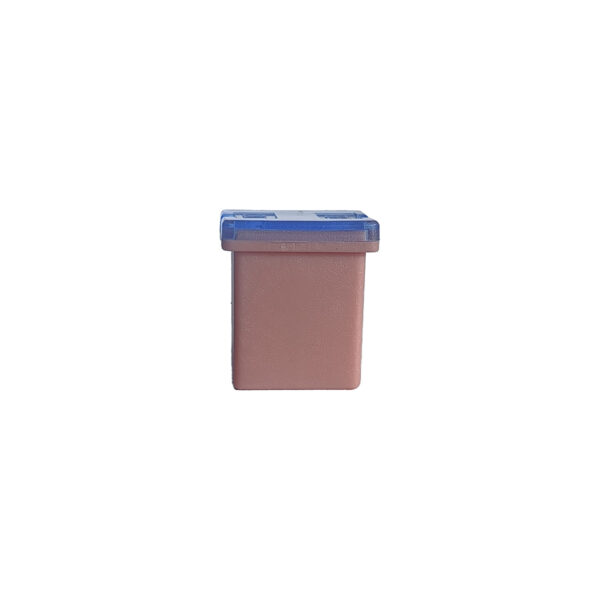 FUSIBLE PAL HEMBRA MEDIANO CORTO 30AMP (CAJAX25)